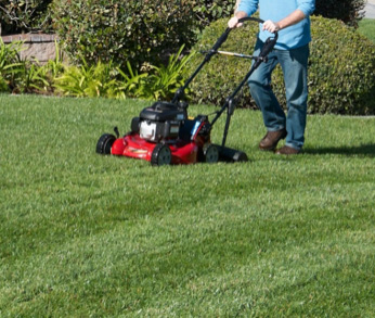 Mow the lawn, a lot